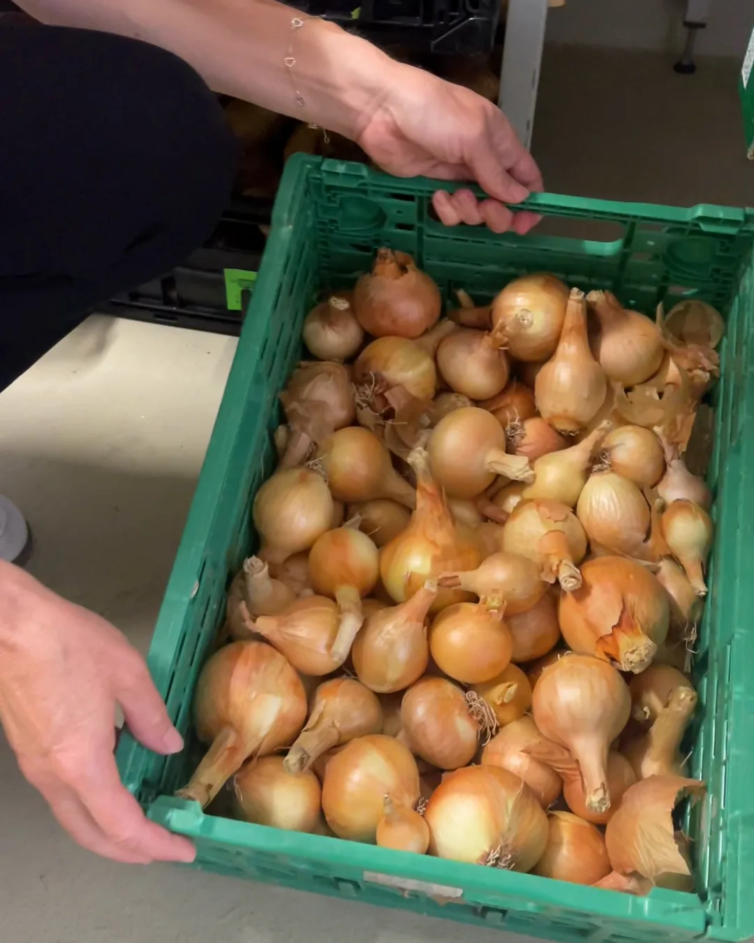 Les mains de Suzanne portent une caisse d’oignons, chez Patat’Attitude